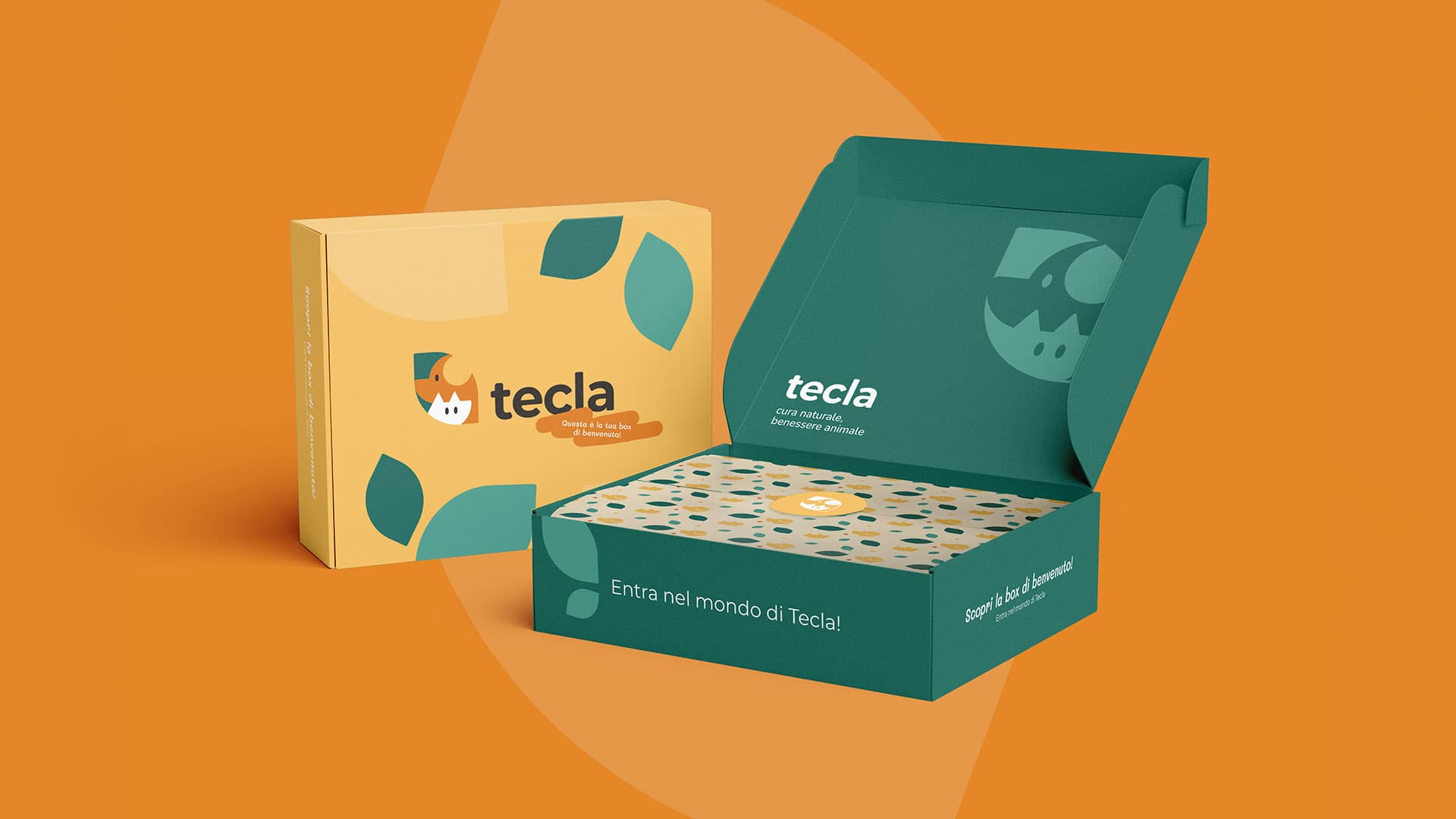 tecla-box-min-2